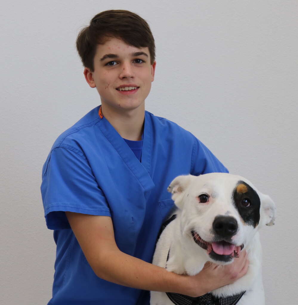 Carson K. Schoenstein Wellcare Pet Clinic